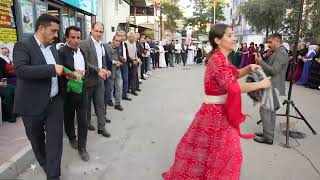 Mahsun ve nazlı nın düğünü koma Roni segavi halayı coşkulu düğün #kurdishweddingdance #dance #music