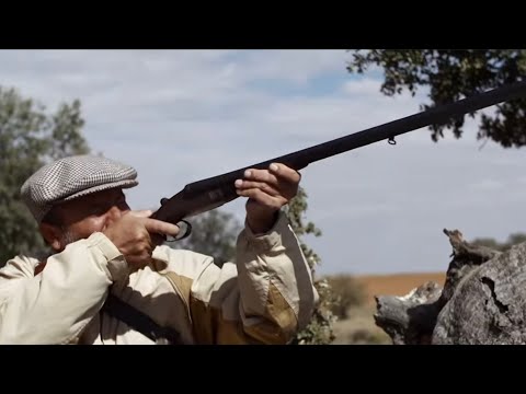 El pastor 2016 | Película completa | Maribel Iglesias, Miguel Martín | Drama