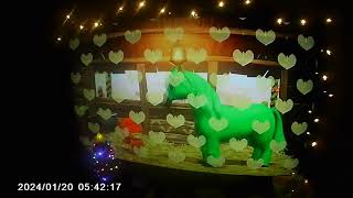 Miitopia Ryan's World More Gems Joining English Dub