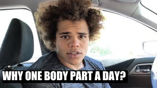 Here's Why I Like Hitting One Body Part A Day