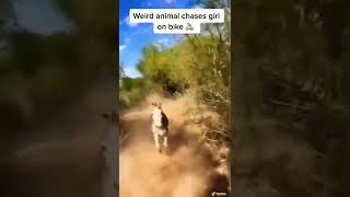 Clips You Have Too See Before You Die