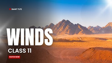 Winds - Landforms and Their Evolution | Class 11 Geography | NCERT