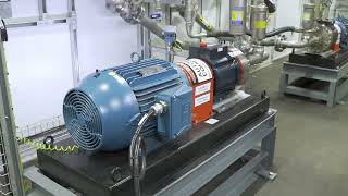 Proprocess EOR 2023