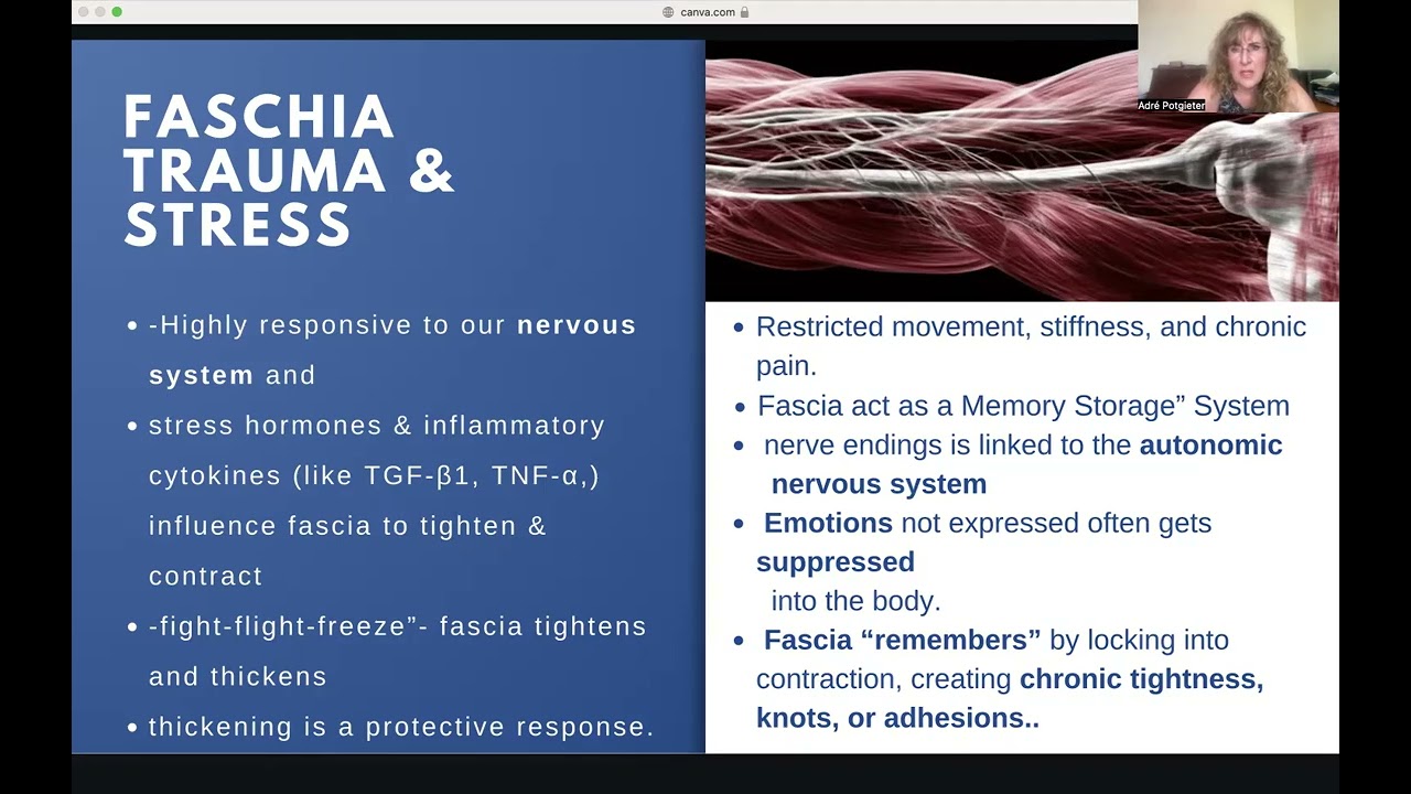 TRE (Tension & Trauma Release exercises) explained.