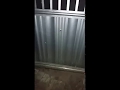 VÍDEO: Vereador tem casa alvejada e atribui ataque a situação política local 