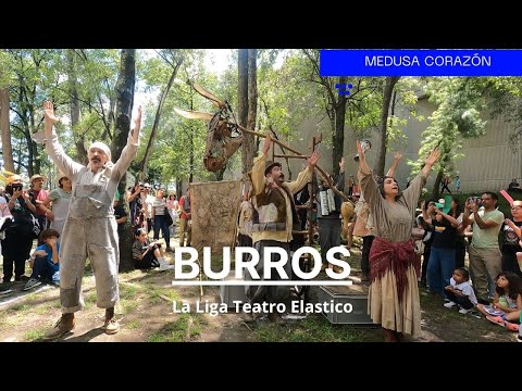 ¿Dónde Ir Este Viernes? El Festival Ceiba Trae A Plaza De Armas El Imperdible Espectáculo Callejero ¡Burros! 5 Burros De La Liga Teatro Elástico.
