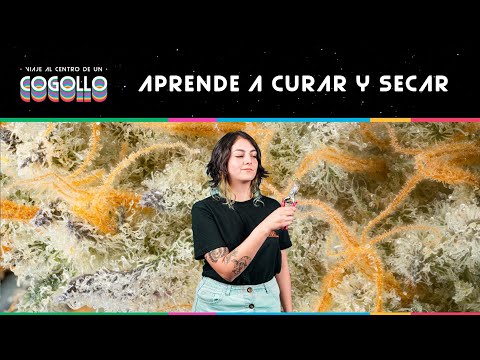 Video: Cómo secar un suéter: 9 pasos (con imágenes)