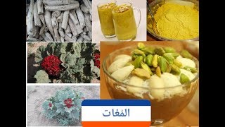 عشبة المغات ، فوائدها الطبية و محاذير و أضرار استخدامها و طريقة تحضير مشروب المُغات . #قناة_اعشاب