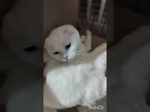 مرسی برای حمایتتون ض