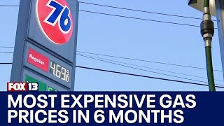 Why the price of gas is so high right now | FOX 13 Seattle