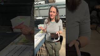Seed Starting Virtual Workshop