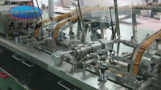 SKYWIN Biscuit Packing System
