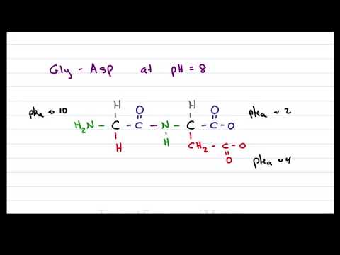 محاسبه بار خاص پروتئین و پلی پپتید، net charge of protein