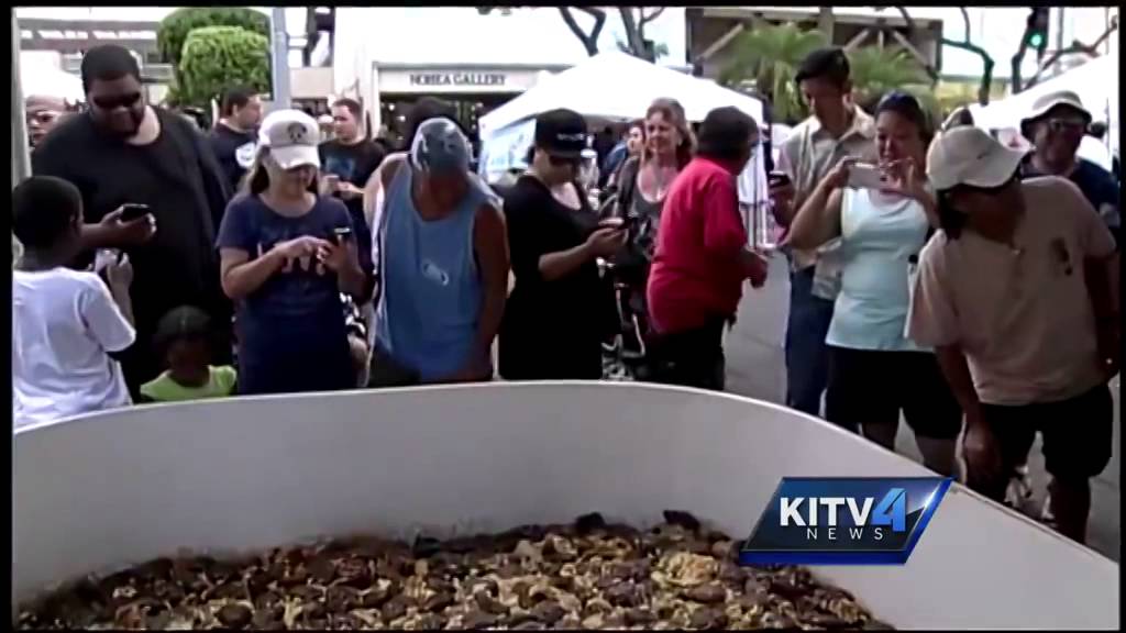 Visitors celebrate 5th Annual Rice Fest