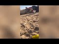 توليد ناقة معسر بسبب إلتفاف الرحم