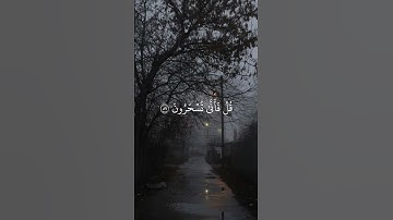سورة المؤمنين ٨٤-٩١ | القارئ ياسر الدوسري #قرآن