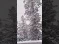 kashmir video#trending #sports #edit #viral