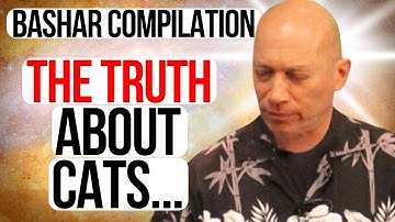 Bashar Reveals Your Cat Isn’t What You Think - Channeled By Darryl Anka (Compilation)