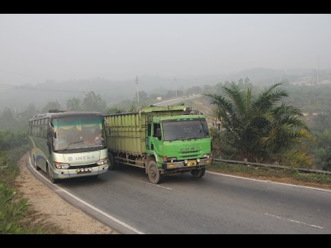 Bus Pmh vs Pms vs PT.Rapi vs Hamahera PART1 - YouTube