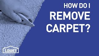 How Do I Remove Carpet? | DIY Basics