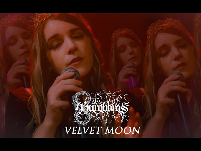 Dawn of Ouroboros - Velvet Moon
