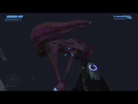 Zwei Betrayals Glitch Tutorial - BOOL (Banshee aus Level)