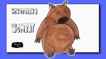 How to Draw a Wombat
