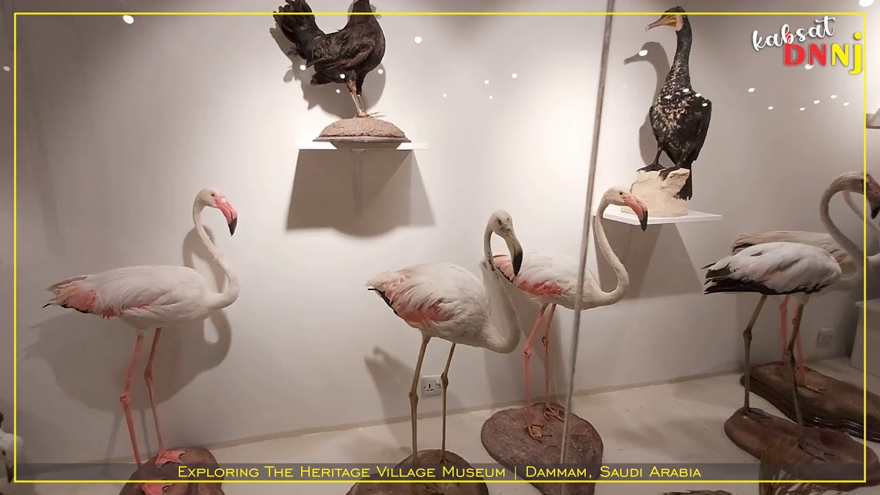 Exploring The Heritage Village Museum | Dammam, KSA | Antique Items | Mummified Animal