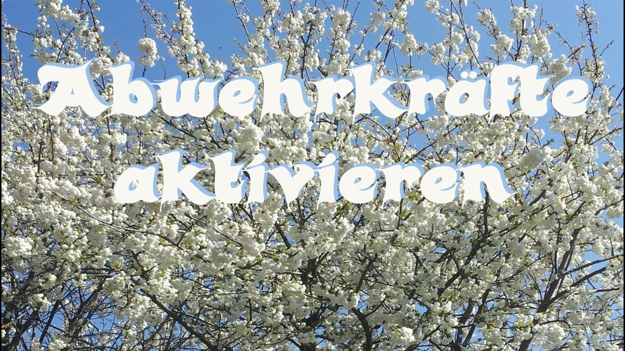 Youtube Hypnose Uwe Borchers