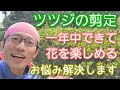 【ツツジ類の剪定】不適期でも可能!花が咲く手入れのコツ(2023年9月)🍃🌸
