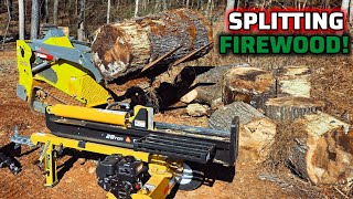 Huge Red Oak Tree Split For Firewood! This Log Splitter Was A Very Good Investment