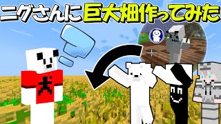 【マイクラ】らるきる働かせてニグさんに巨大畑作ってみたｗｗ【ゆっくり実況】