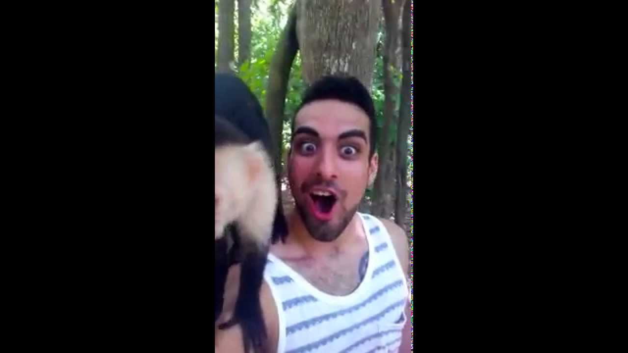 The Capuchin Monkeys of Roatan Isle, Honduras