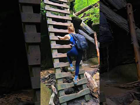 The Infamous Trail