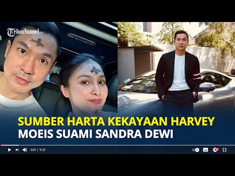 SUMBER Harta Kekayaan Harvey Moeis Suami Sandra Dewi, Tersangka Korupsi Timah Rugikan Negara Rp271 T