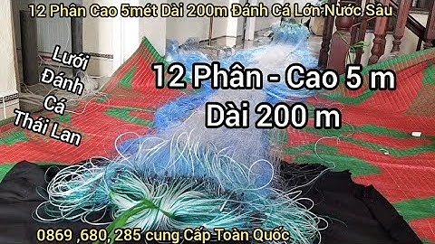 Lưới Đánh Cá 3 Màn Thái Lan 12 Phân Cao 5 mét Dài 200 m - Lưới Đánh Cá - Lưới Thả Cá - Lưới Giăng Cá