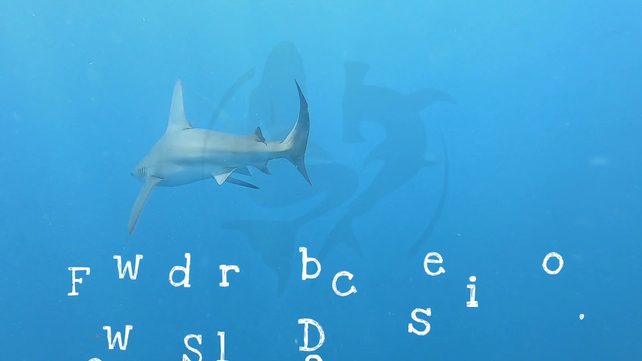 video editing software free Sharks in Jupiter