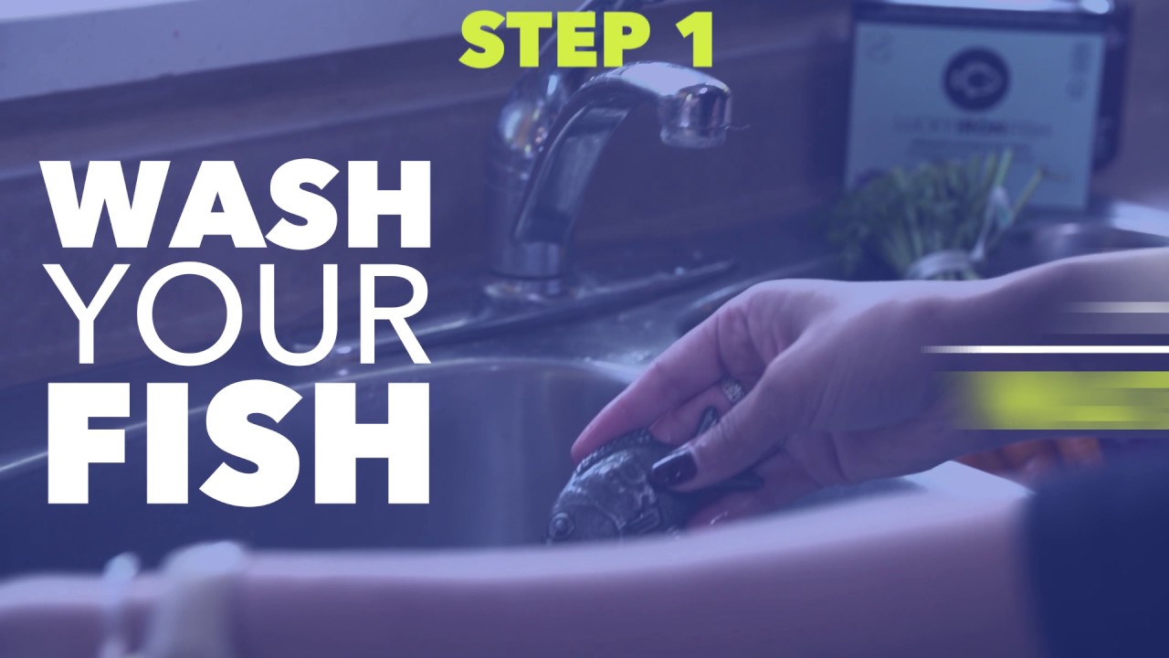 How to clean your Lucky Iron Fish YouTube