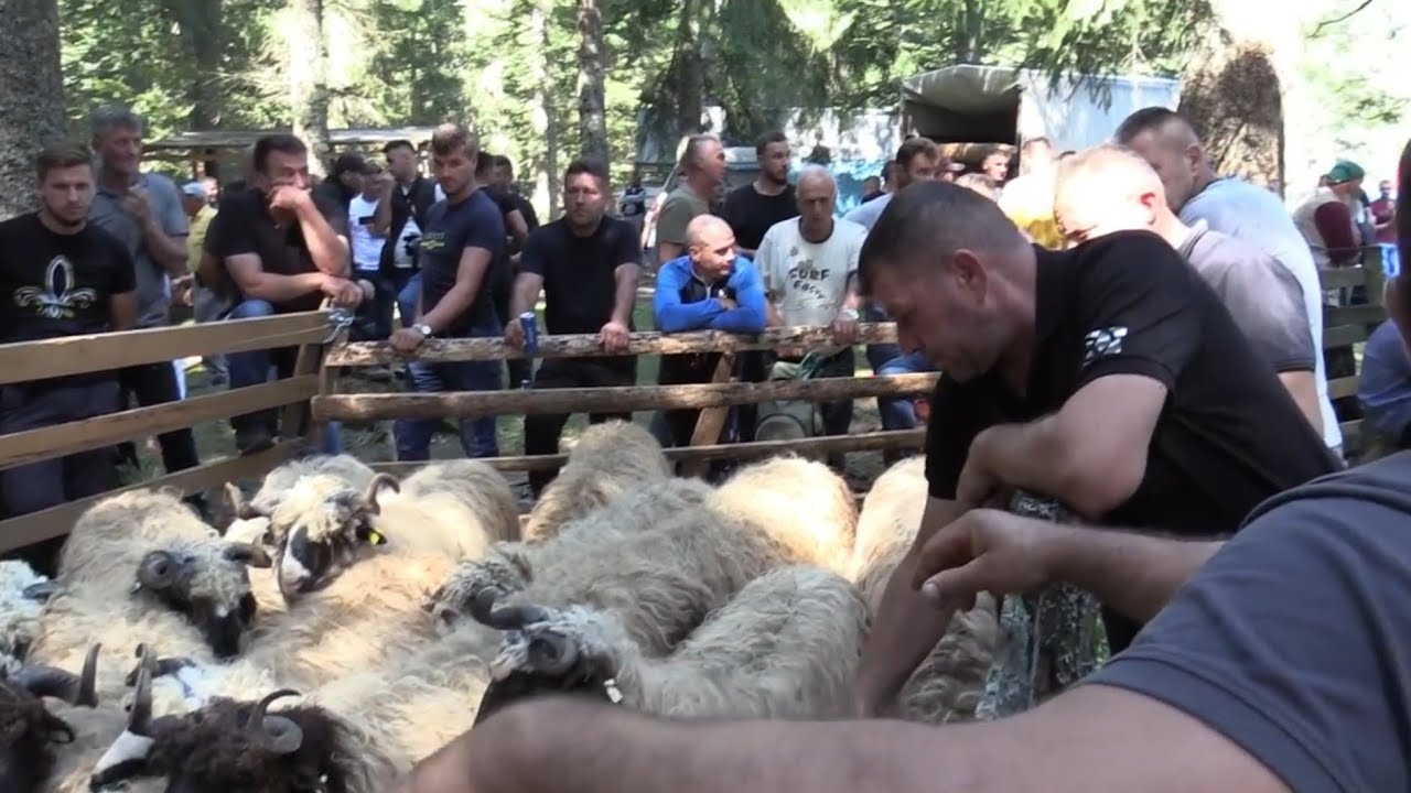 IZLOŽBA DUBSKE PRAMENKE NA VLAŠIĆU