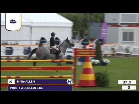 Tweedledee DL CSIYH 7 yo Maubege