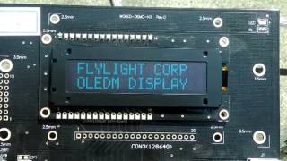 Flylight OLED Manufacture  1602B Blue  Sunlight  Readable