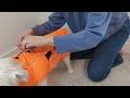 Dog Winter Coat - Adjustable and Harness-Friendly