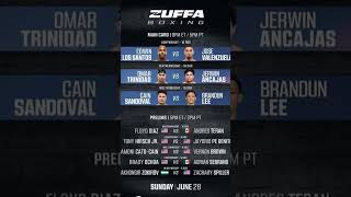zuffa boxing event in hindi predictions #boxing #zuffaboxing #predictions #yputubeshorts