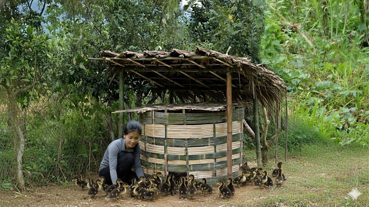 Бездомная девочка заботится о диких утках в лесу – путь доброты в природе