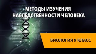 Методы изучения наследственности человека