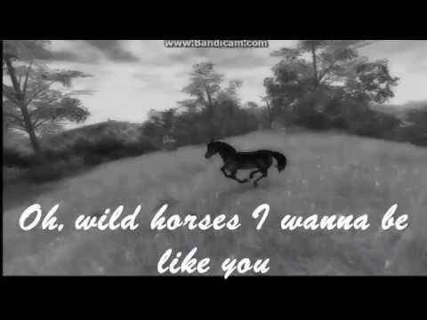 [sso]-musicvideo--wild-horses--by-donna-winterforce-(lyrics)