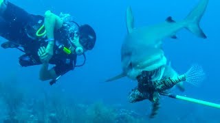Feeding Invasive Lionfish to Sharks
