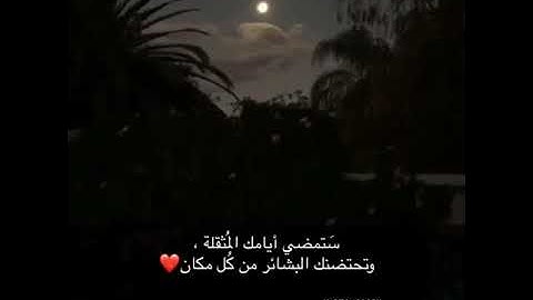 قرآن الكريم بصوت القارئ: ماهر المعيقلي || أجمل حالات واتس اب دينيه || تلاوة خاشعة 🌿