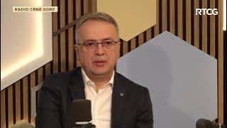 LINK - Danilović:'Mandić može izvršiti pritisak na Spajića da odustane od podrške Rezoluciji'
