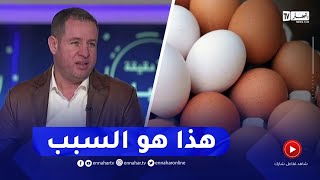 رئيس اللجنة الوطنية لشعبة الدواجن : هذا هو سبب إرتفاع أسعار البيض